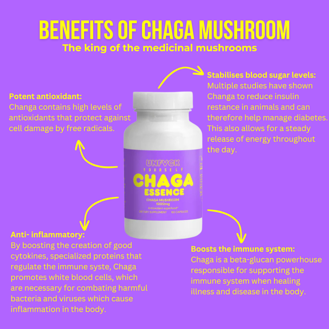 CHAGAESSENCE - Chaga Mushroom